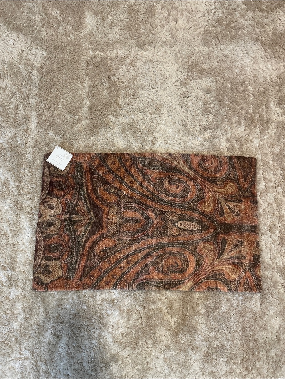 Pottery Barn Pillow Case